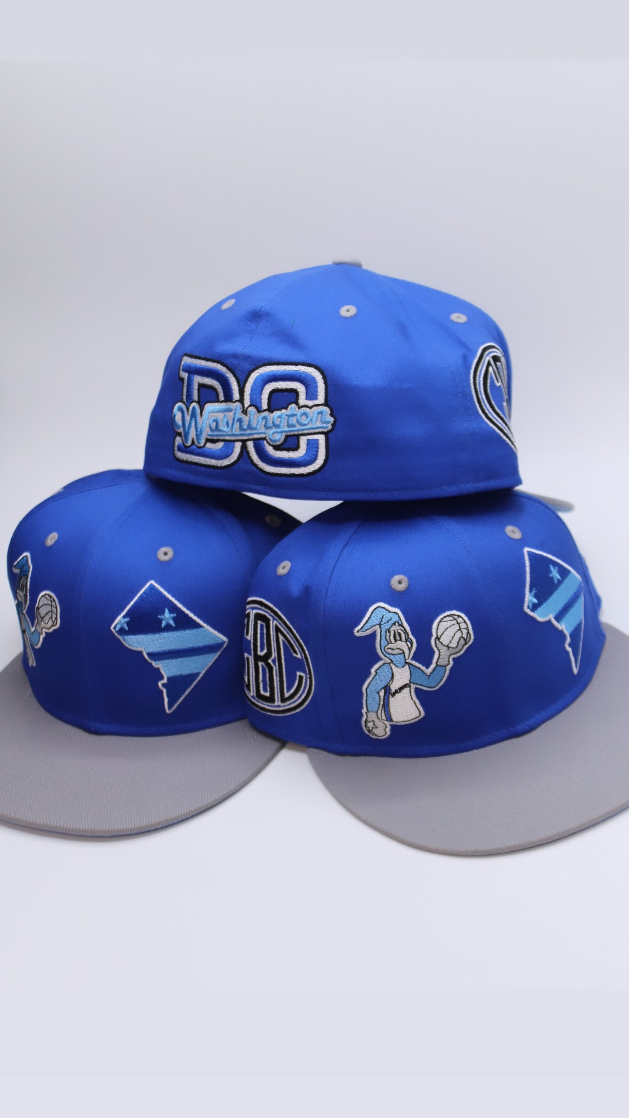 DC Fitted Hat
